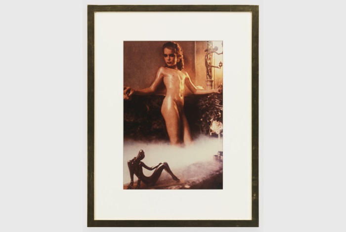 В 1975 году фотограф Гэри Гросс сделал серию фотографий для журнала. 